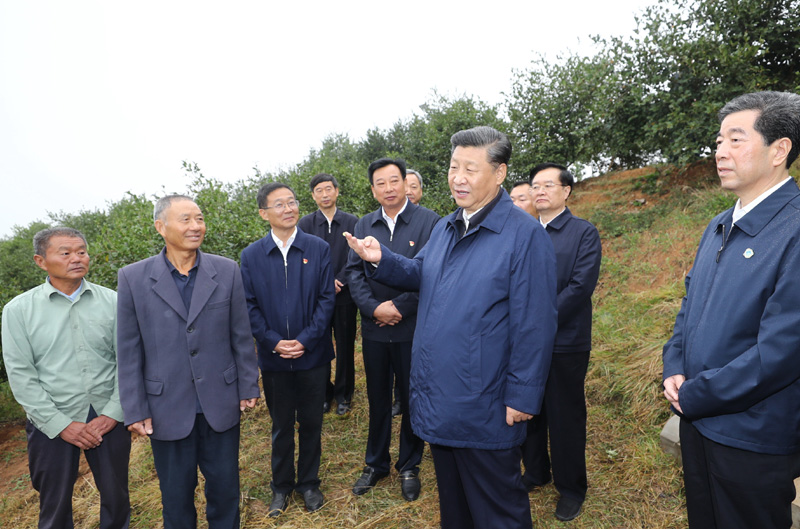 　　9月16日至18日，中共中央總書記、國家主席、中央軍委主席習近平在河南考察。這是17日上午，習近平來到信陽市光山縣槐店鄉(xiāng)司馬光油茶園，同正在勞作的村民和管理人員交流。 新華社記者 鞠鵬 攝